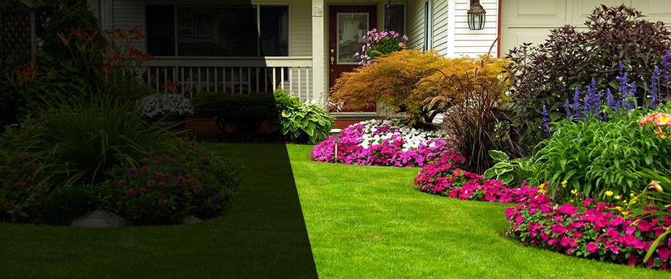 Bellevue Landscapers